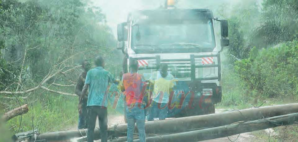 Pluies : un retour fracassant à Yaoundé