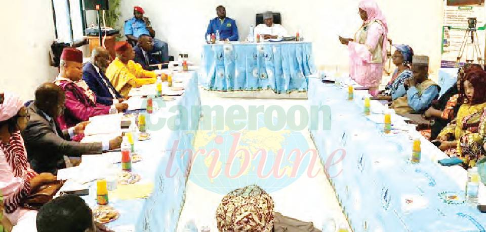 Promotion du bilinguisme et du multiculturalisme dans l’Adamaoua: La Commission nationale évalue les activitésdf