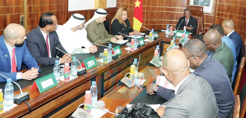 Cameroon-United Arab Emirates : Broadening Business Spheres