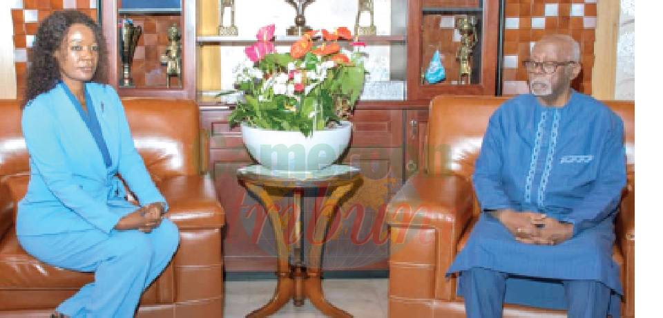 Gender Promotion Within ECCAS: Ongoing Institutional Reforms Discussed