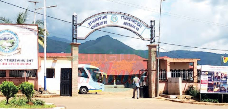 University of Bamenda: Professionalisation, Entrepreneurship Nursery