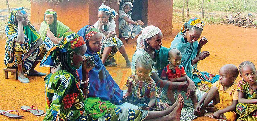 Adamaoua : 600 actes de naissance aux Mbororos