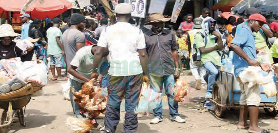 Au marché : le poulet à prix d’or