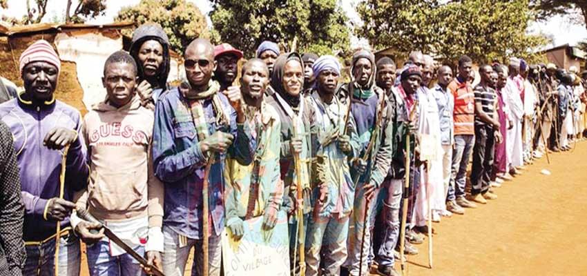 Région de l’Adamaoua : la sécurité restaurée