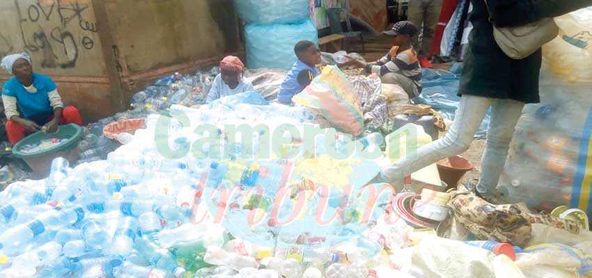 Plastic Bottles Trade : Menial But Lucrative