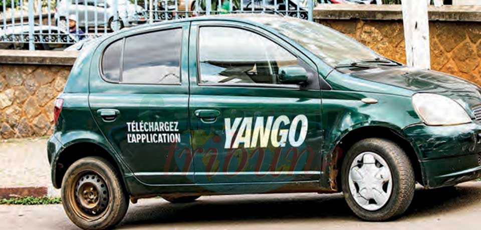 “Yango” Platform Suspension : Implementation In Limbo “Yango” Platform Suspension : Implementation In Limbo