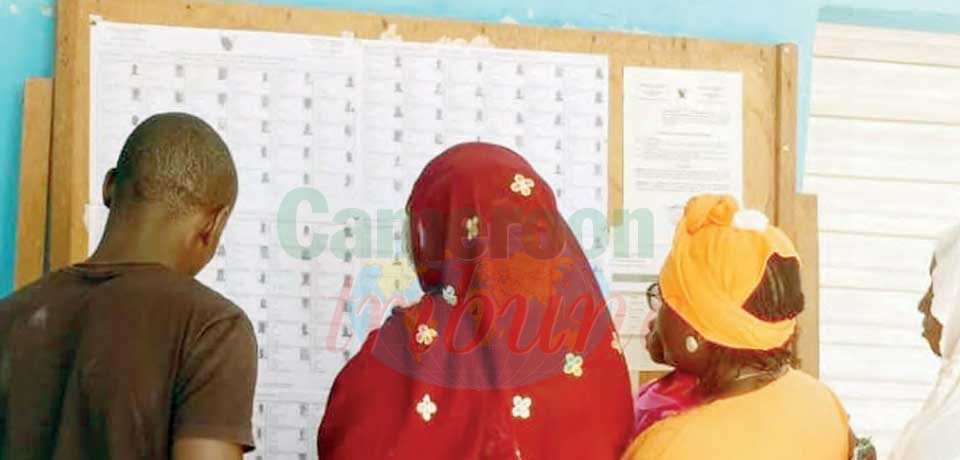 Provisional Electoral Lists : Potential Electors Make Verifications