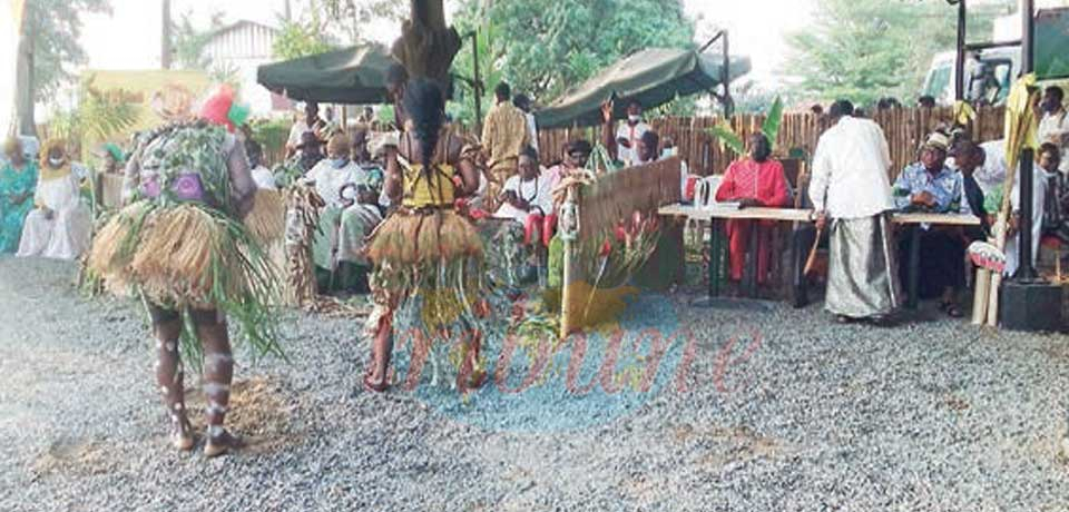 La culture de Douala III magnifiée.