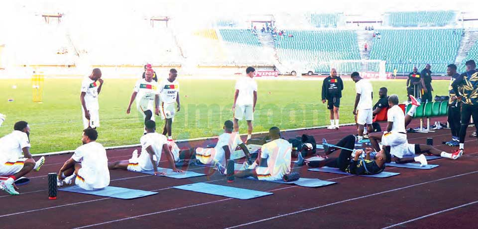 Les Lions ont pris leurs marques à Douala. Les Lions ont pris leurs marques à Douala.