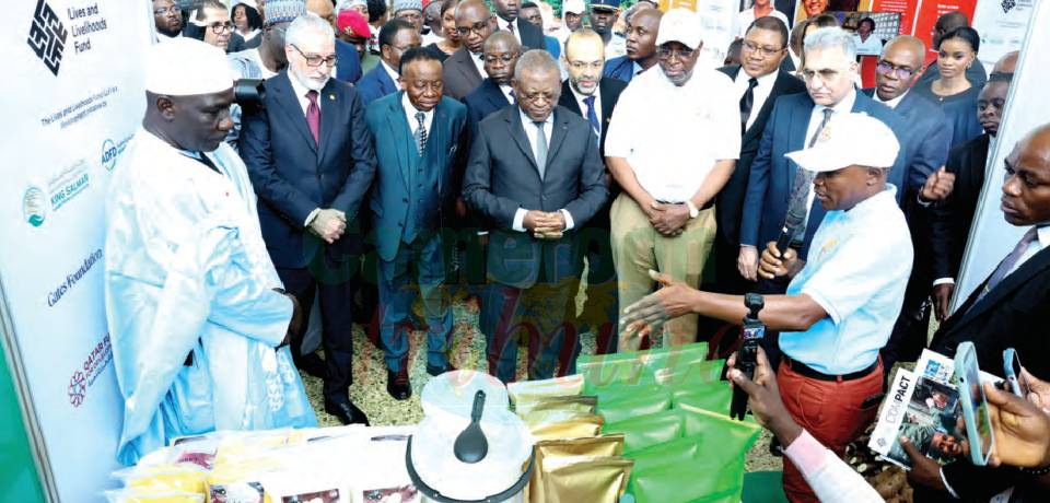 Cameroon-IsDB Cooperation: Ambitious Projects, Strategic Agreements