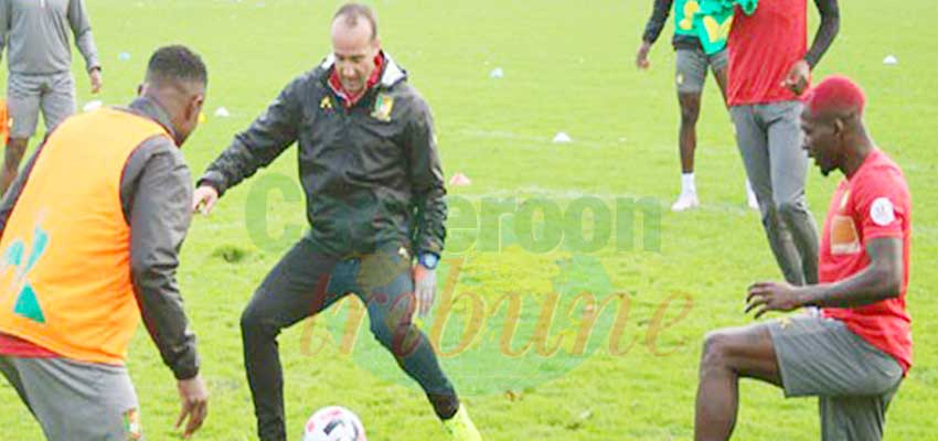 Lions indomptables : retours en cascades