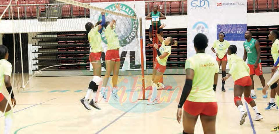 Volley-ball féminin : le triple challenge des Lionnes