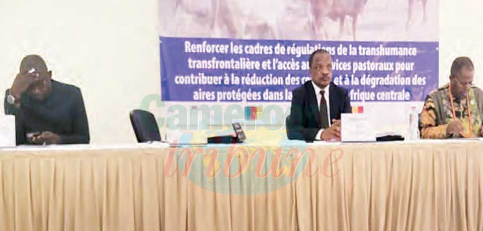 Securing Movement of Animals : Stakeholders Brainstorm In Douala