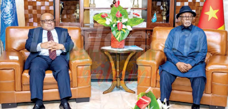 External Relations: Regional Security, Humanitarian Affairs Reviewed
