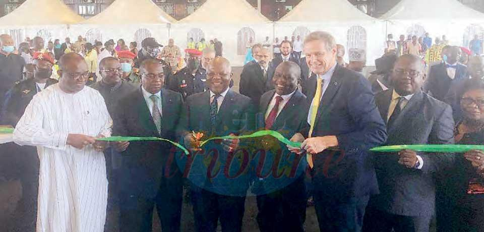 Banane : le terminal fruitier monte en régime Banane : le terminal fruitier monte en régime