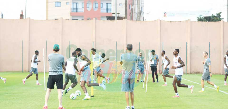 Lions indomptables : toutes griffes dehors