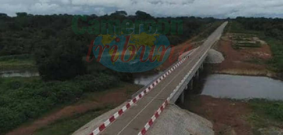 Cameroon Targets Infrastructure Growth:  As 2027–2029 IsDB Cooperation Talks Open In Yaounde