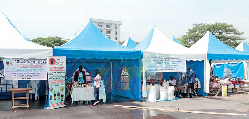 Les effets du PTS-Jeunes en vitrine.