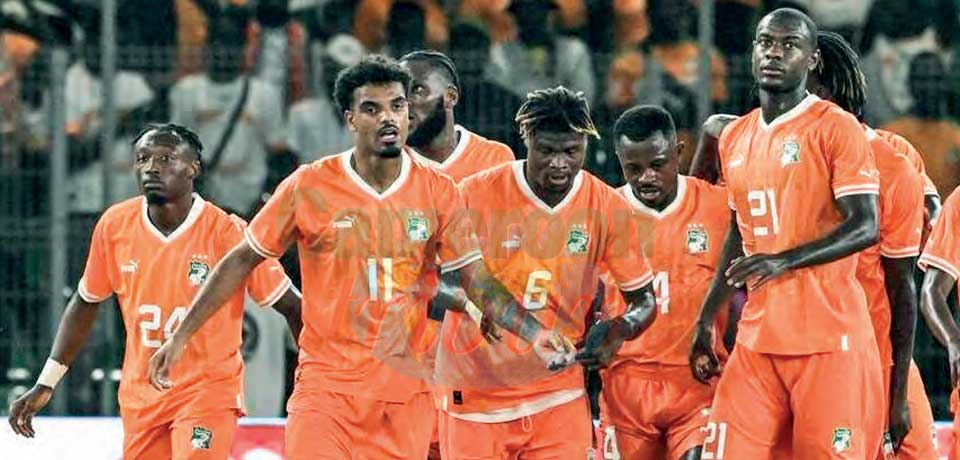 Côte d’Ivoire : Eléphants en approche !