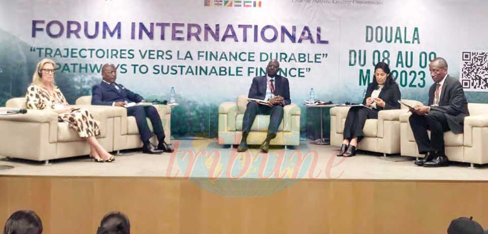 Cemac : l’adoption de la finance durable en débat