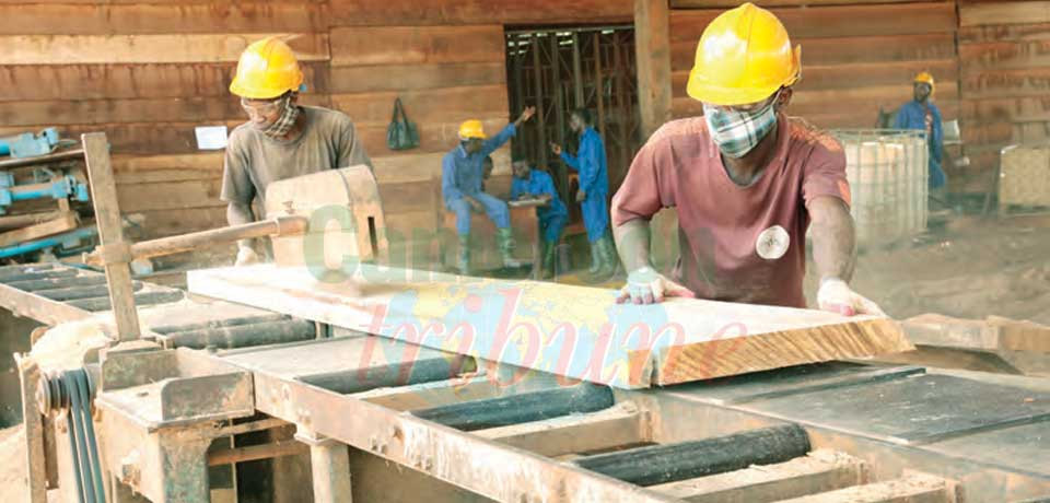 Promotion du commerce intra-régional: L’option de la transformation structurelle