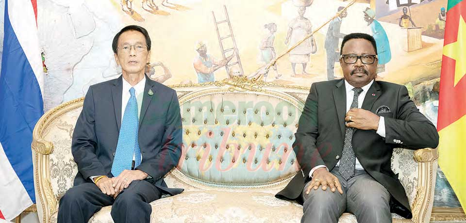 Diplomacy : Thailand Ambassador Presents Credentials