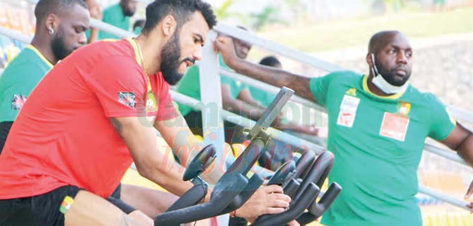 Cameroun  : chasse à domicile