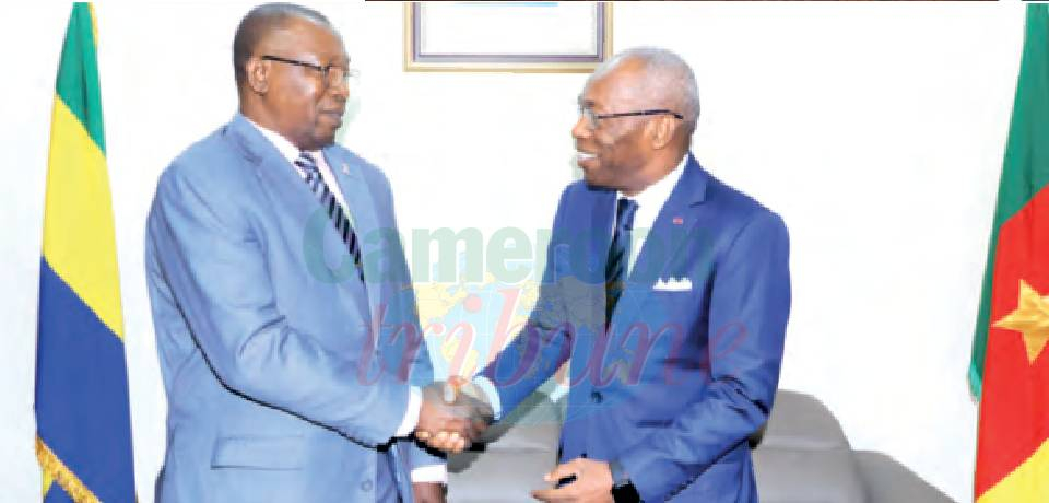 Exploitation forestière, lutte contre le braconnage, etc.: Partage d’expériences entre le Cameroun et le Gabon