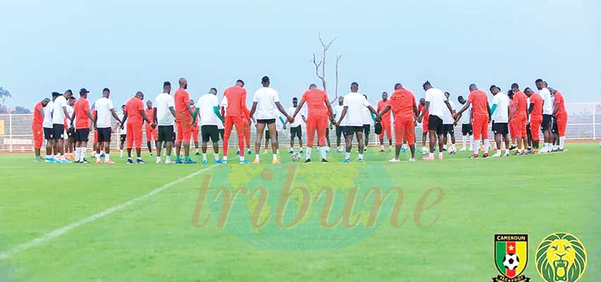 CHAN 2020 : Lions Strategising For Tomorrow’s Game CHAN 2020 : Lions Strategising For Tomorrow’s Game