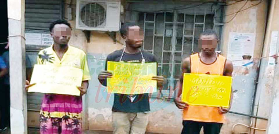 Narcisse Manfo, Elvis Dongmo Chedjou et Aimé Sande, ont été appréhendés le 29 juin dernier à Douala, par éléments de la Division régionale de la police judiciaire du Centre. Narcisse Manfo, Elvis Dongmo Chedjou et Aimé Sande, ont été appréhendés le 29 juin dernier à Douala, par éléments de la Division régionale de la police judiciaire du Centre.