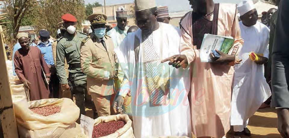 Lutte contre l’insécurité alimentaire : l’Adamaoua tient ses promesses