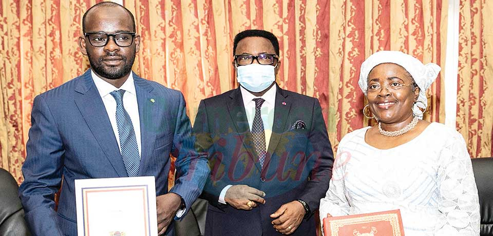 Cameroon-Chad: Digital Interconnection Underway