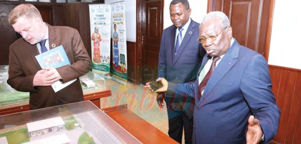 Transforming Local Dairy Sector: Transforming Local Dairy Sector
