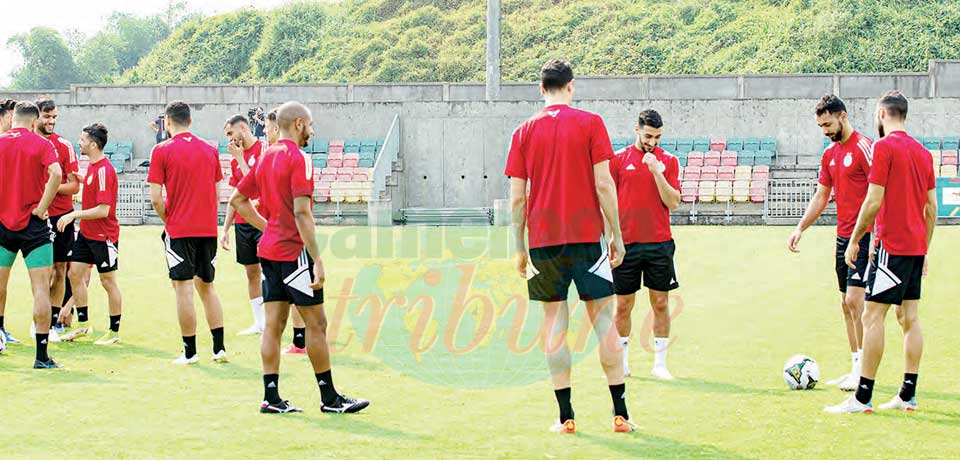 Algérie-Sierra Leone : le champion et le petit poucet