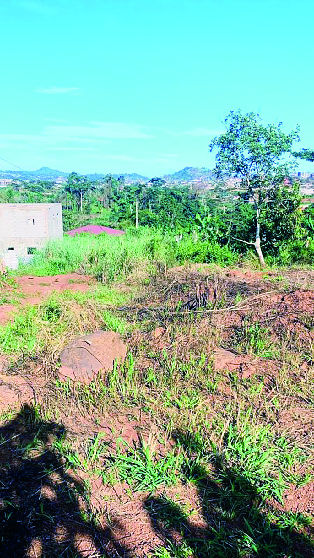 Terrain titré : un parcours parsemé d’embûches Terrain titré : un parcours parsemé d’embûches