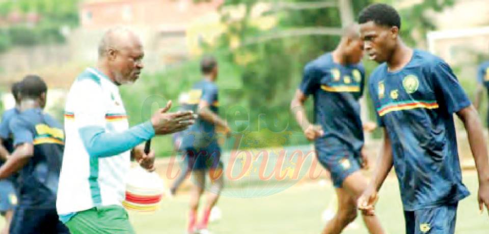 Coupe du monde U17: La préparation lancée