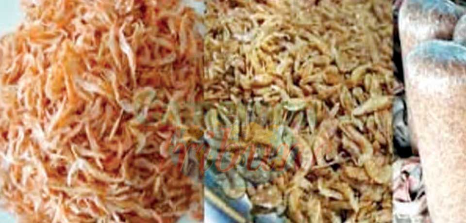Crayfish is good for everyday diet. Crayfish is good for everyday diet.