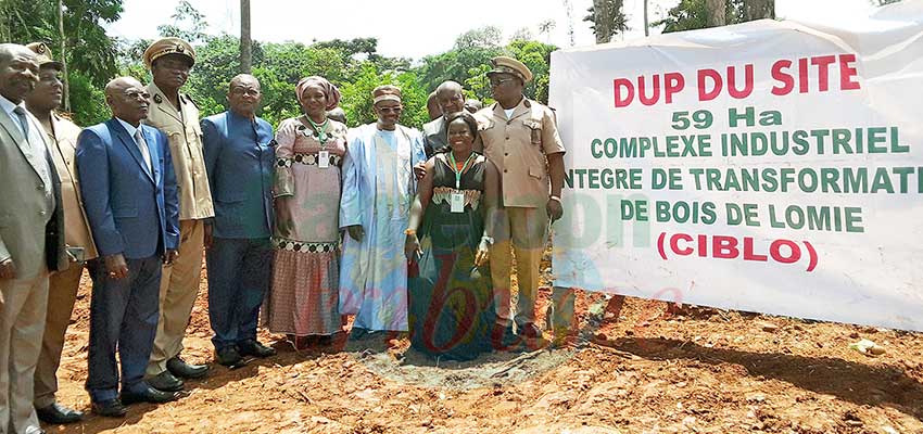 Transformation du bois: le complexe industriel de Lomié prend corps