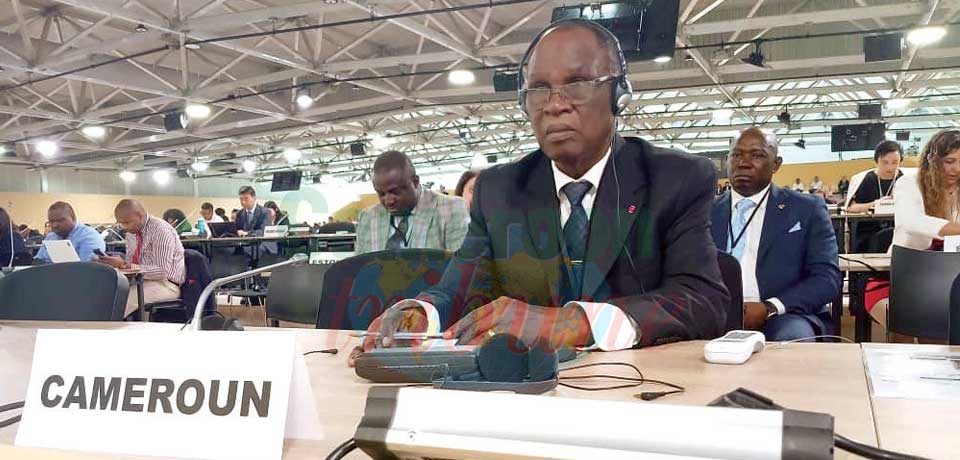Protection de l’océan: Le Cameroun sur la bonne vague