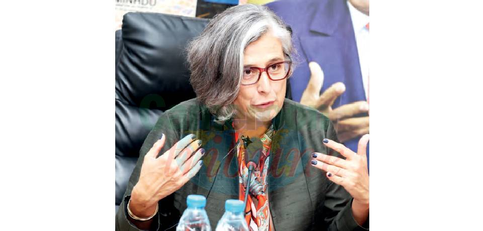 “Cameroon Has Potentials In Locally Produced Construction Materials”