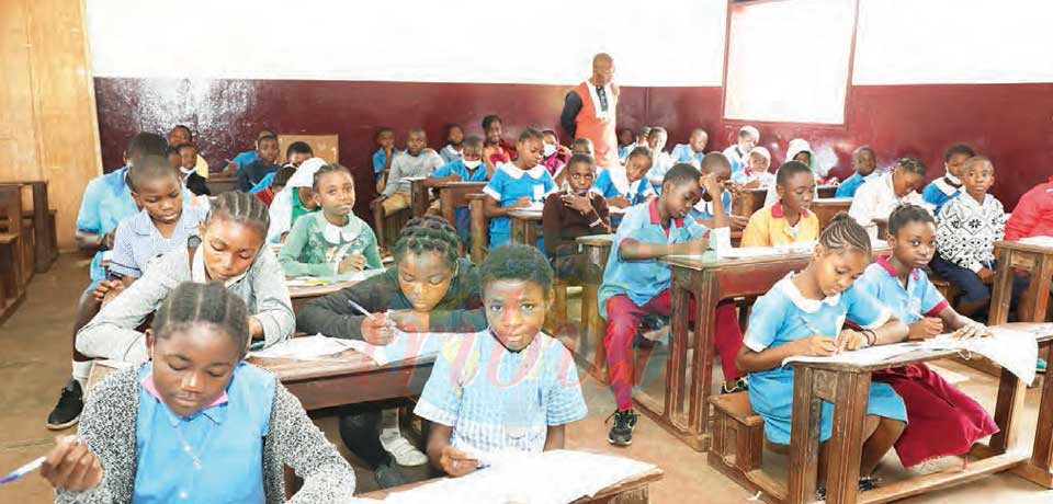 Examens officiels : place au CEP blanc Examens officiels : place au CEP blanc