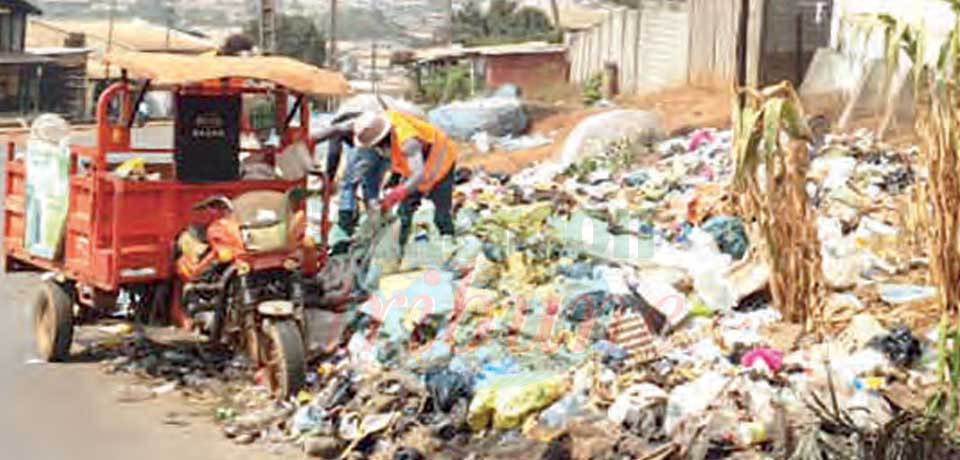 Household Waste Management : NGOs, Private Initiatives, Councils Engaged
