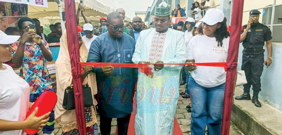 Adéquation formation-emploi : diplôme et compétence au cœur du débat