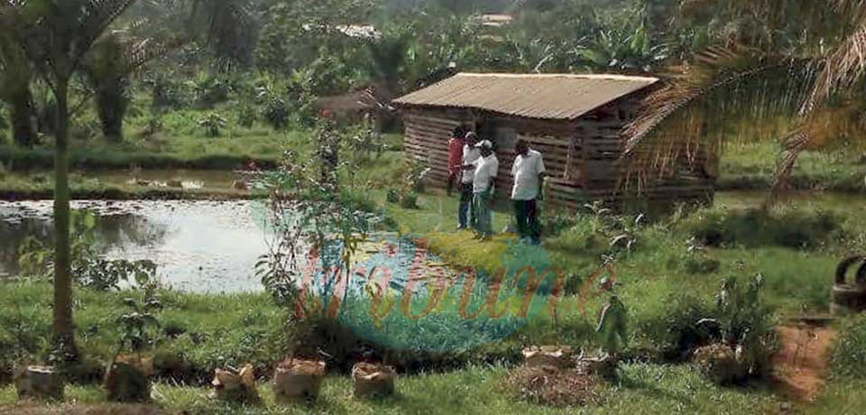 Poisson d’eau douce : des étangs aux assiettes Poisson d’eau douce : des étangs aux assiettes
