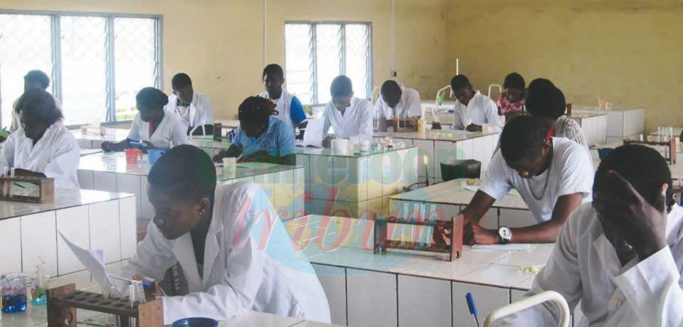 A ce jour, les étrangers sont plus nombreux dans les chantiers visant la construction du Cameroun. A ce jour, les étrangers sont plus nombreux dans les chantiers visant la construction du Cameroun.