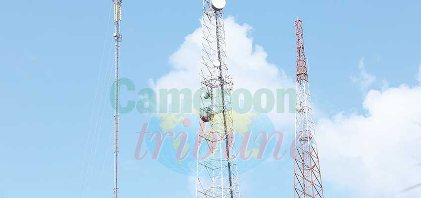 Non-compliant telecom masts will be dismantled and their operators sanctioned.