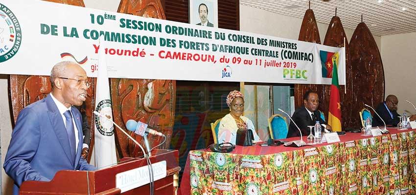Protecting the species-rich Congo Basin, home to the world’s second-largest tropical rain forest, remains primordial for COMIFAC Protecting the species-rich Congo Basin, home to the world’s second-largest tropical rain forest, remains primordial for COMIFAC