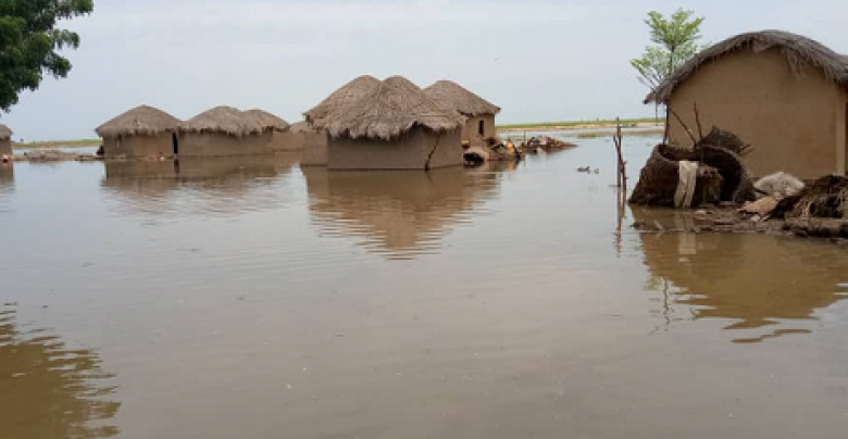 Climate Change Impact : Cameroon Rolls Out Two Mitigating Projects