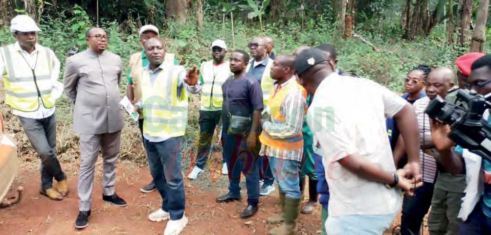 Développement de la cacaoculture : ça s’accélére à Messamena