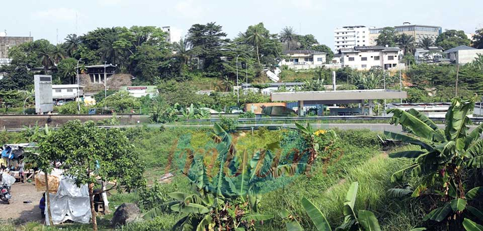 Residents of Douala struggling to curb weather changes.